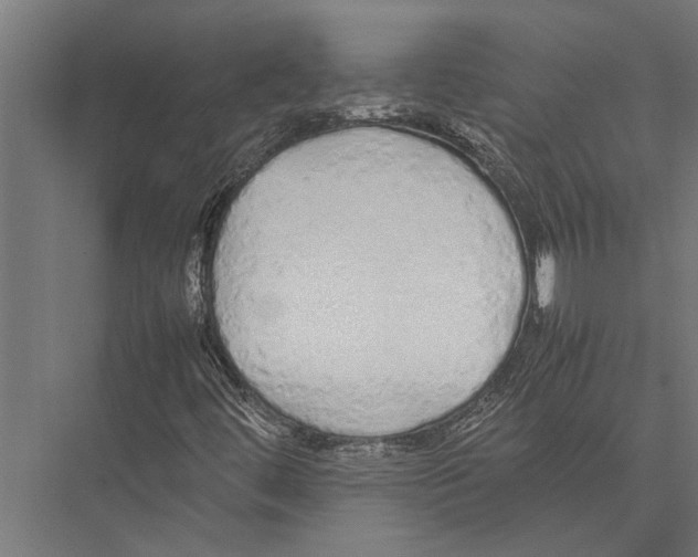 X0000075391444200610061852