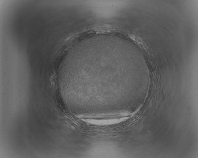 X0000075391445200610061852