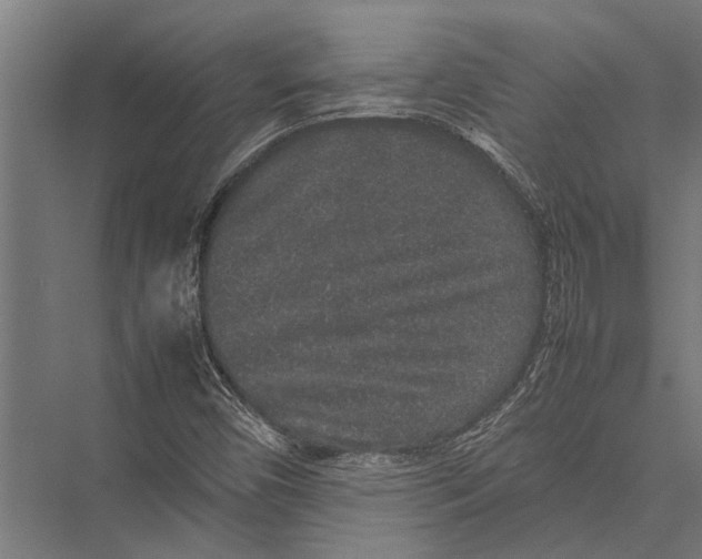 X0000075391450200610061852