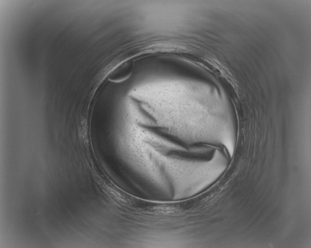 X0000075391465200610061852