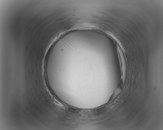 X0000075391477200610061852