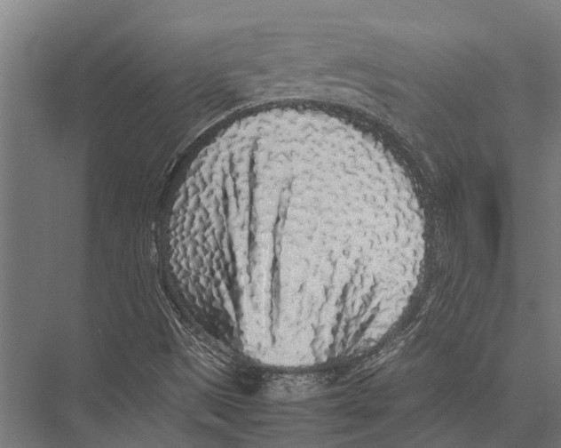 X0000075391497200610061851