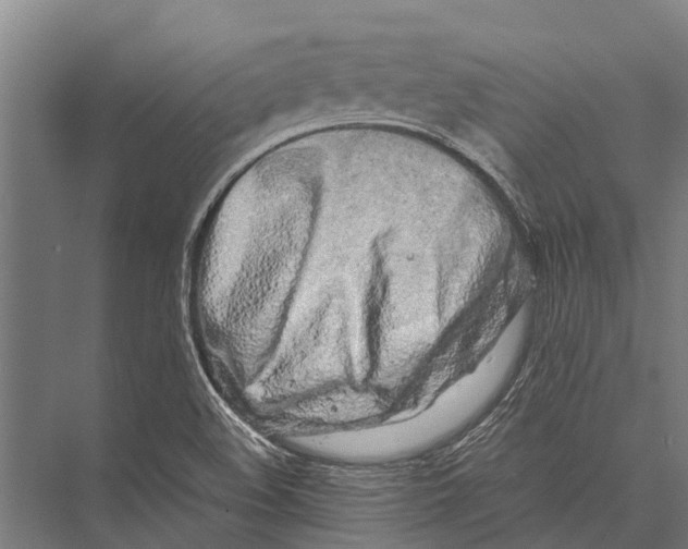 X0000075391508200610061851