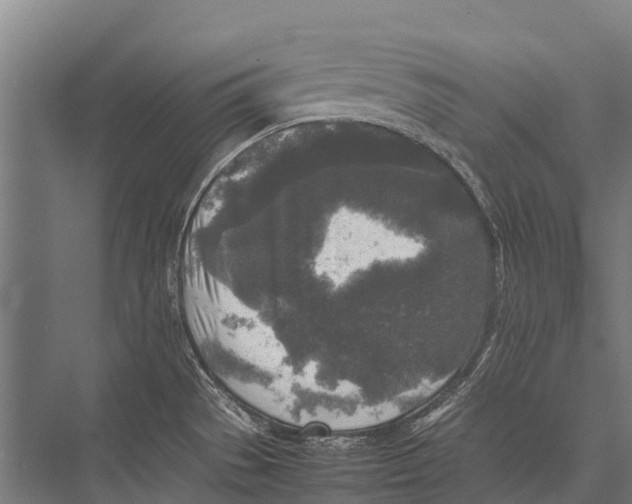 X0000075391529200610061851