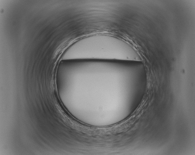 X0000075400002200609081015