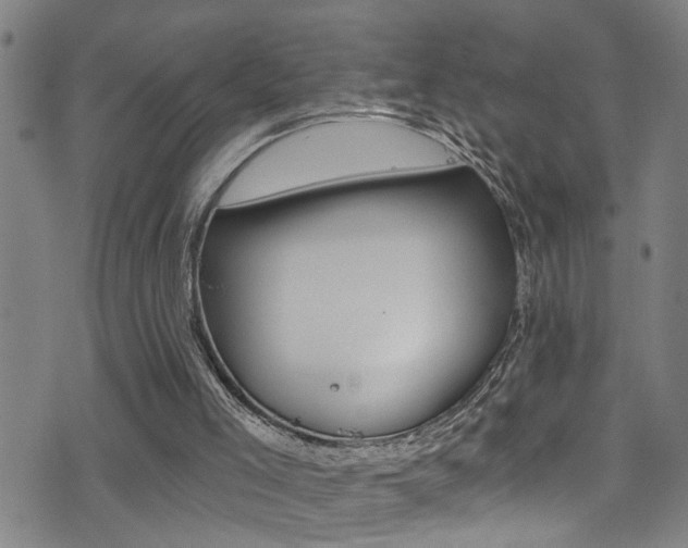 X0000075400005200609081015