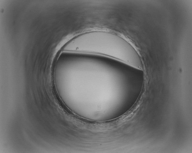 X0000075400008200609081015