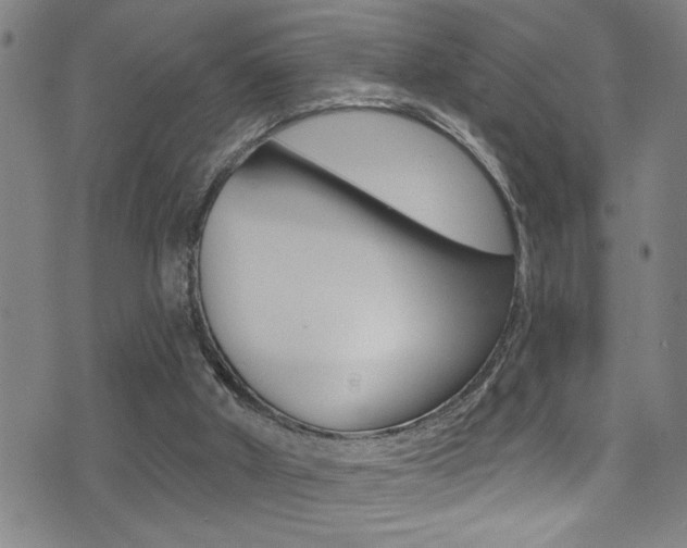 X0000075400010200609081015