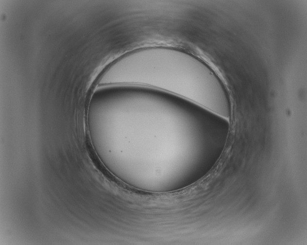 X0000075400011200609081015