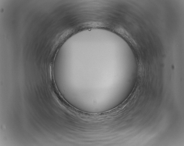 X0000075400014200609081015