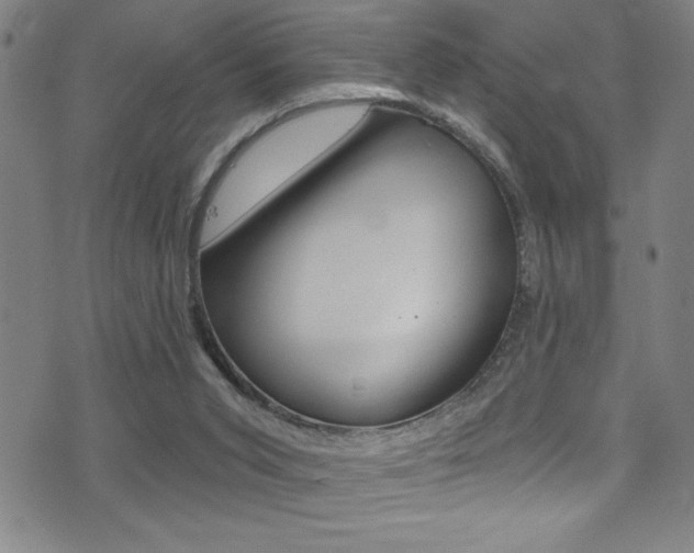 X0000075400015200609081015