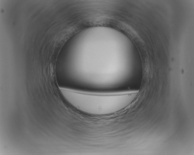 X0000075400025200609081015