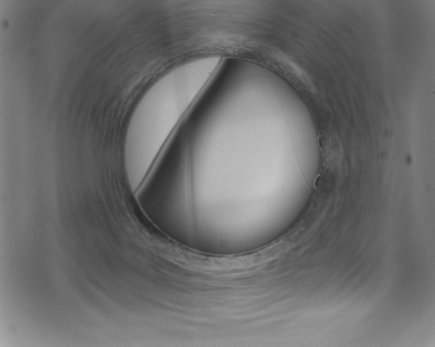 X0000075400027200609081015