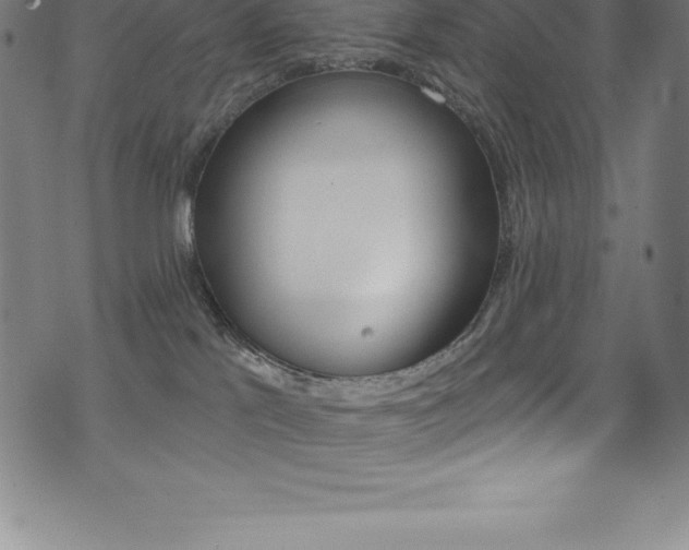X0000075400041200609081015