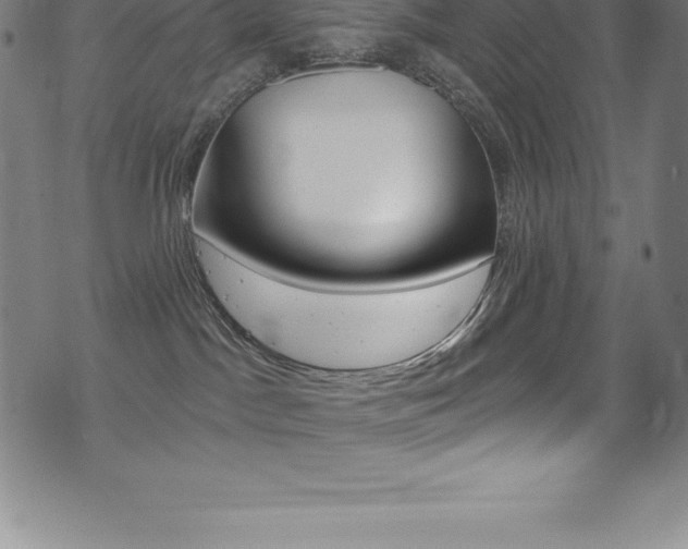 X0000075400045200609081015
