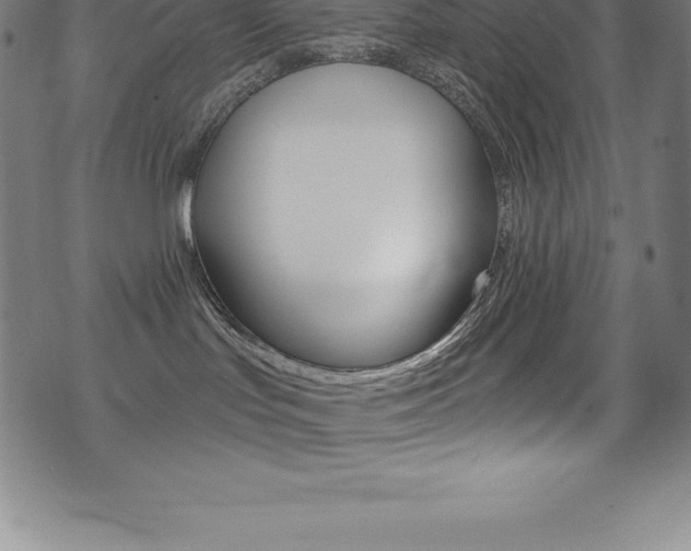 X0000075400047200609081015