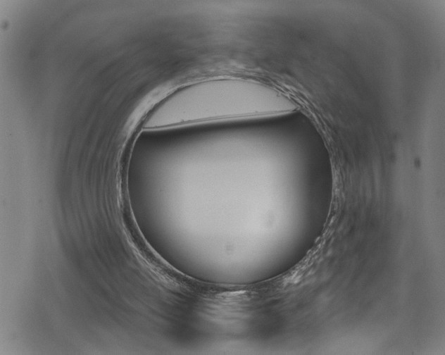 X0000075400054200609081014