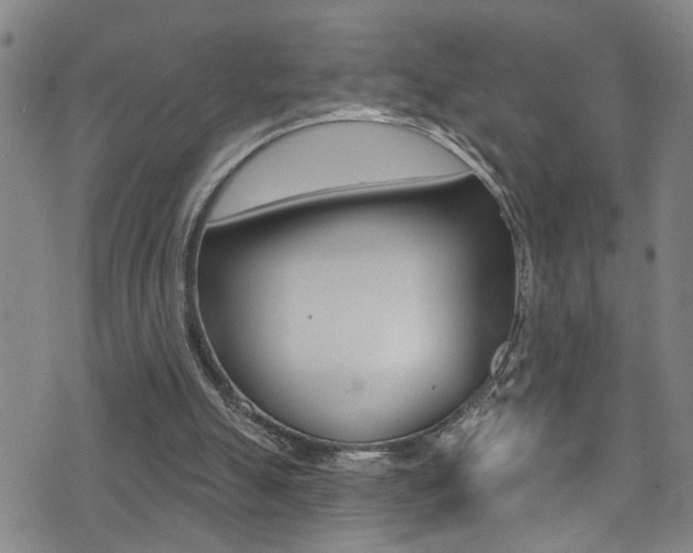 X0000075400055200609081014