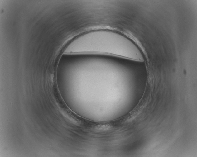X0000075400063200609081014