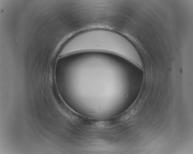 X0000075400064200609081014