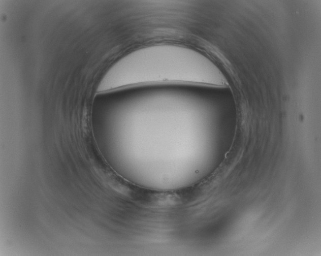 X0000075400073200609081014