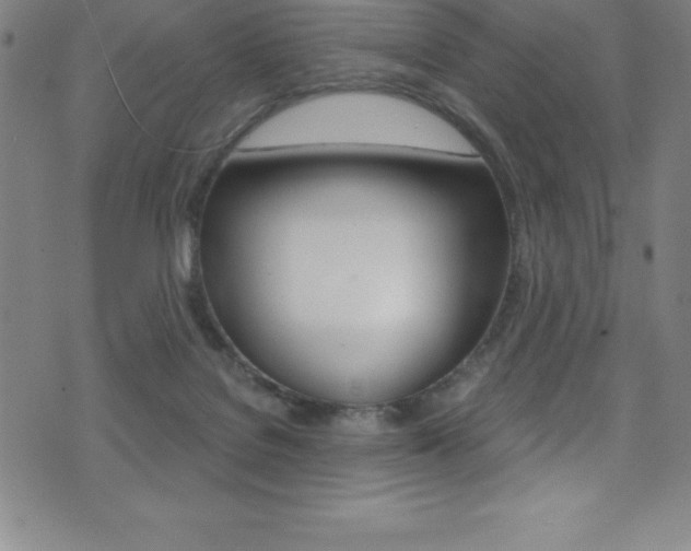 X0000075400076200609081014