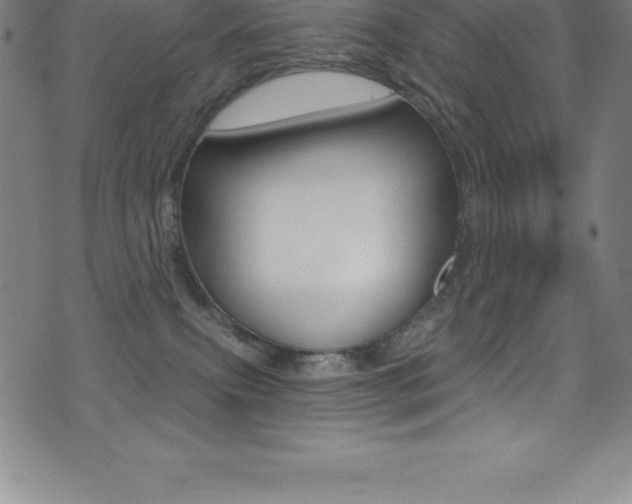 X0000075400087200609081014
