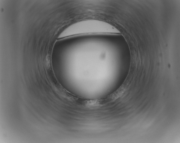 X0000075400088200609081014