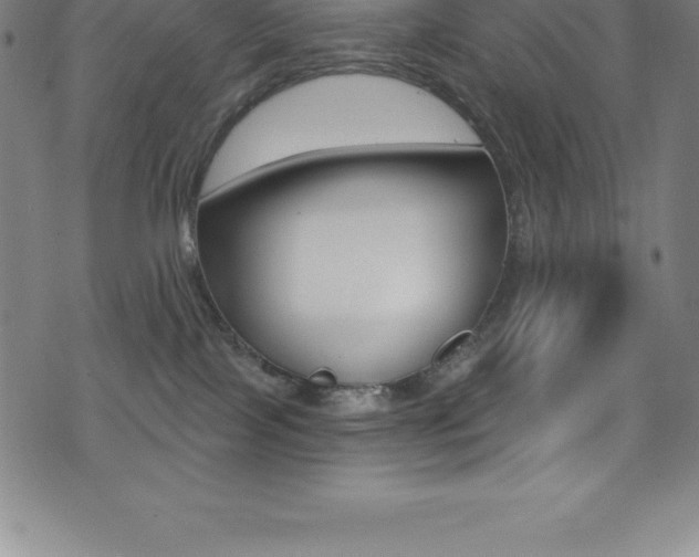X0000075400089200609081014