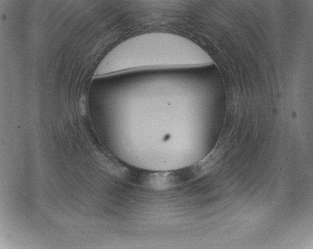 X0000075400090200609081014