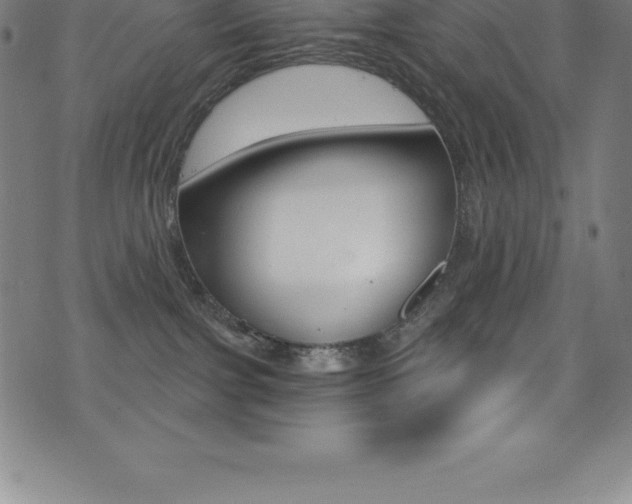 X0000075400091200609081015