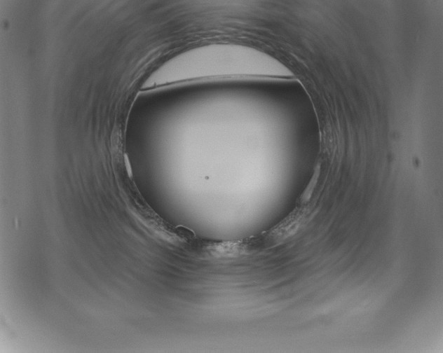 X0000075400092200609081015