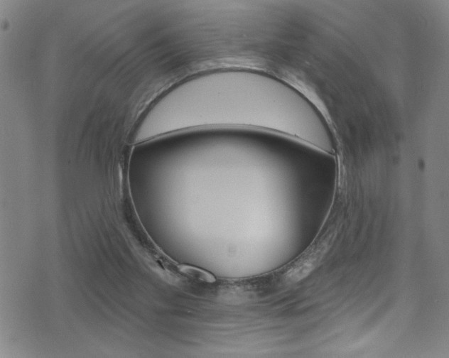 X0000075400109200609081014