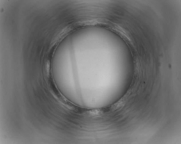 X0000075400118200609081013