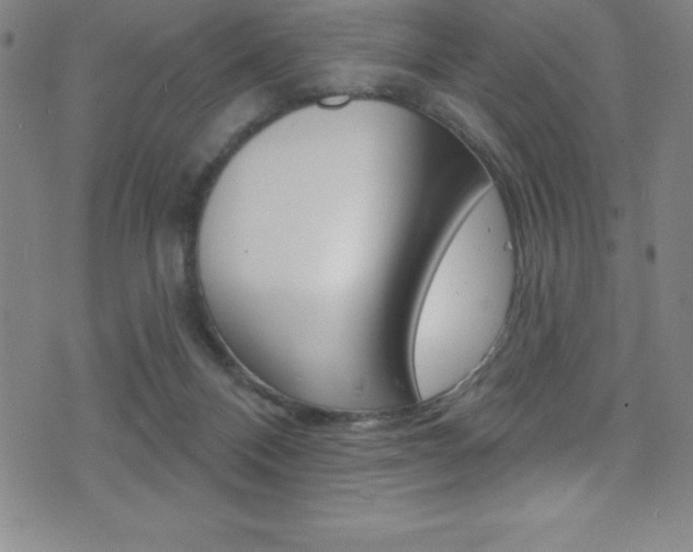 X0000075400120200609081013