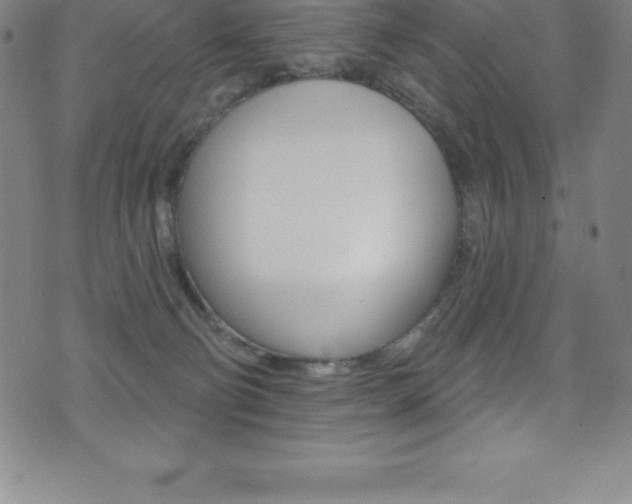 X0000075400130200609081013