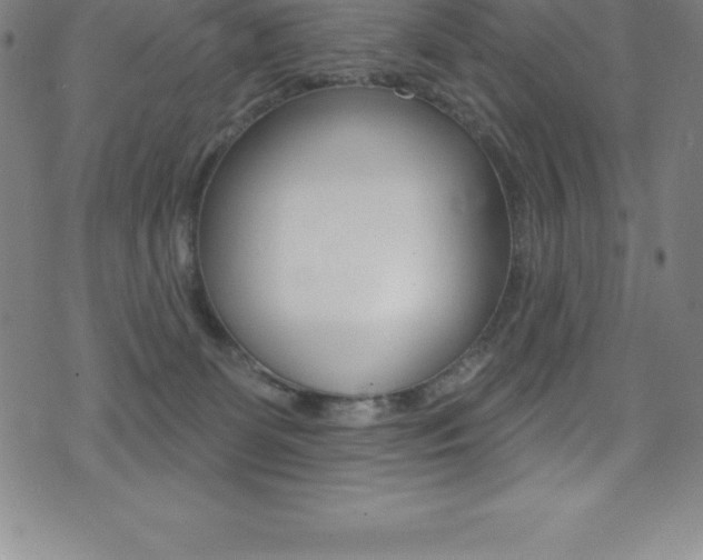 X0000075400131200609081013