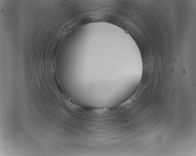 X0000075400136200609081013