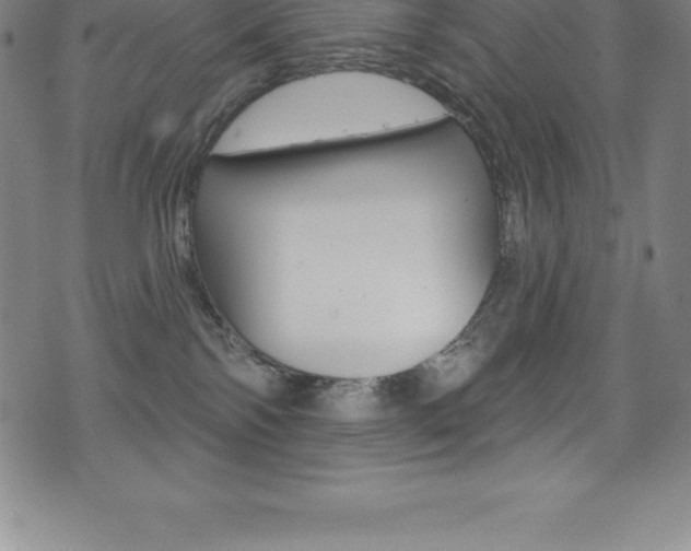 X0000075400138200609081013