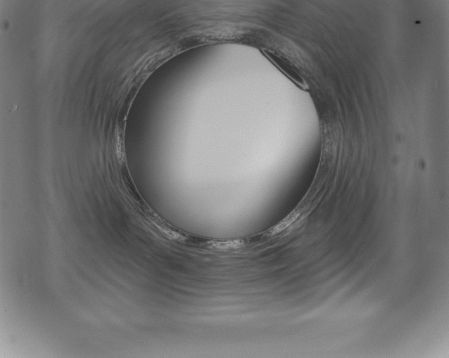 X0000075400143200609081013