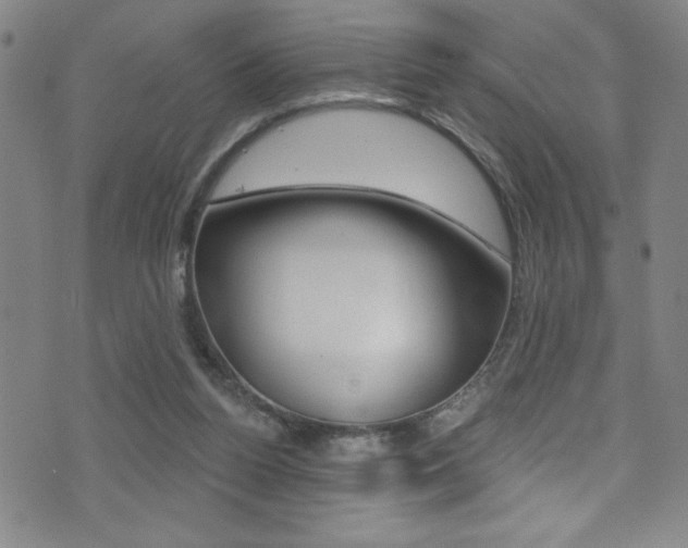 X0000075400160200609081013