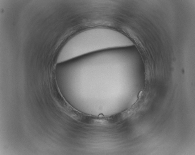 X0000075400167200609081013