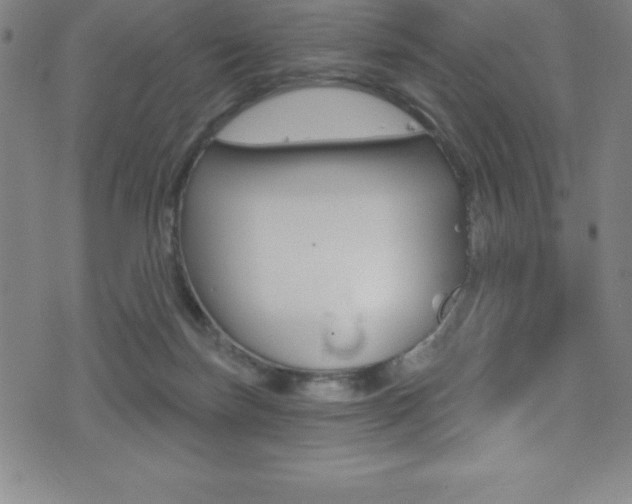 X0000075400171200609081013