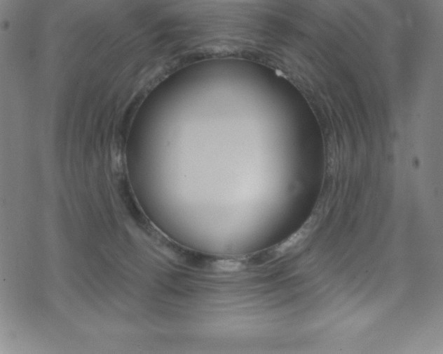 X0000075400176200609081013