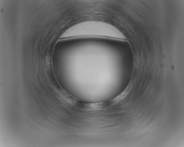X0000075400184200609081013