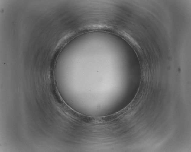 X0000075400207200609081012