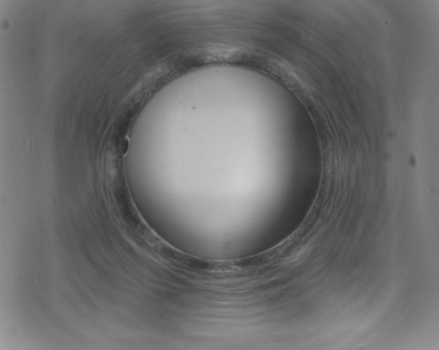 X0000075400215200609081012