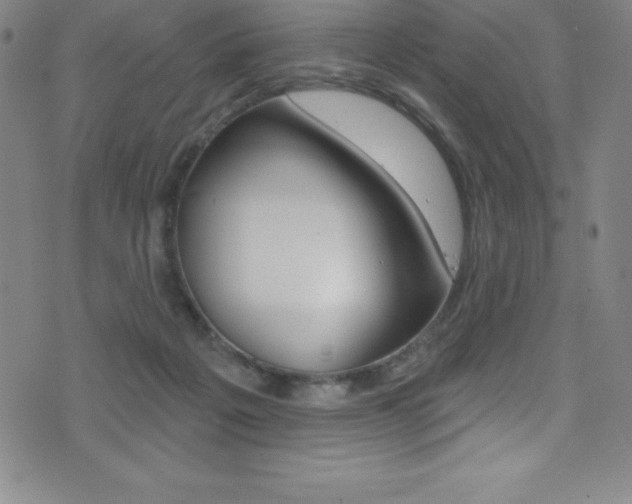 X0000075400217200609081012