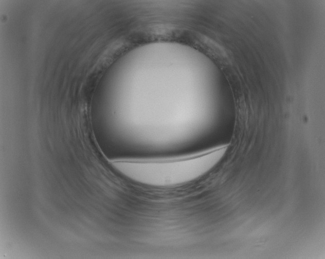 X0000075400225200609081012