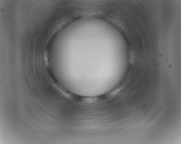 X0000075400238200609081012